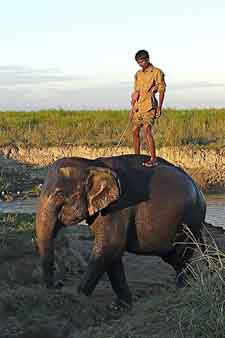 con un elefante en Kaziranga