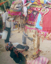 hombre actuando en el mercado de anjuna