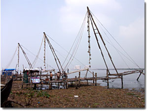 redes chinas en cochin