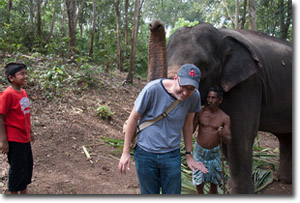 elefantes En el Santuario de Vida Salvaje de Neyyar