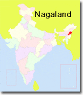 localizacion de nagaland en india