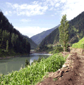 un rio de punjab