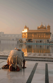 hombre rezando frente al templo de oro en Amritsar