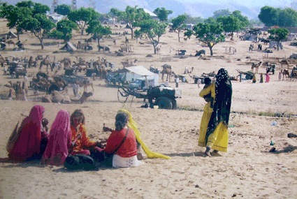 lugar de acampada de los camellos en pushkar