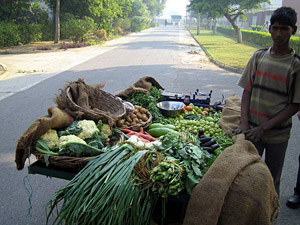 Puesto de verduras movil en Kanpur