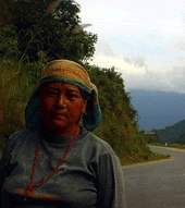 trabajador en una carretera de Arunachal