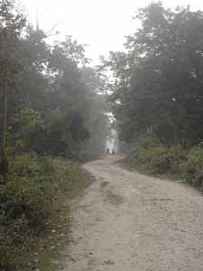 camino en el Parque Nacional de Nameri