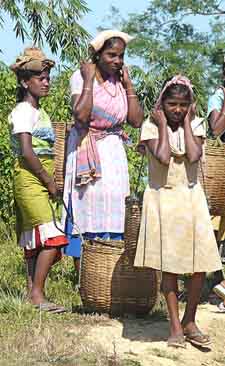 mujeres trabajando en el Te de Assam