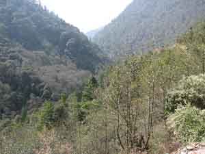 montañas Entre Tezpur y Tawang