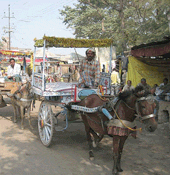 carros en Bihar