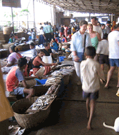 mercado de panaji