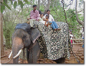 paseo con elefante en bondla