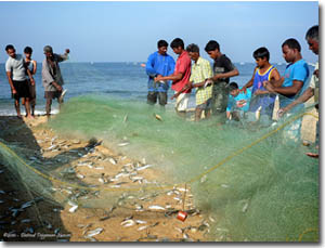 pescadores en calangute