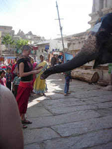 elefante dentro del templo virupaksha