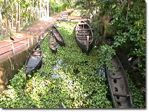 En los Backwaters de Kerala