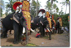 festival del elefante en kollam