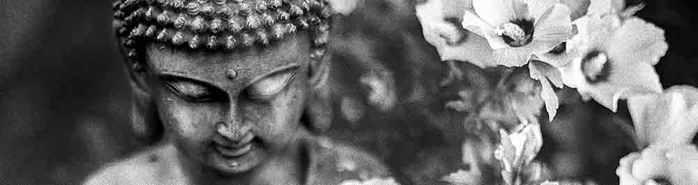 La imperturbabilidad del Buda – Una caña de bambú para el más tonto