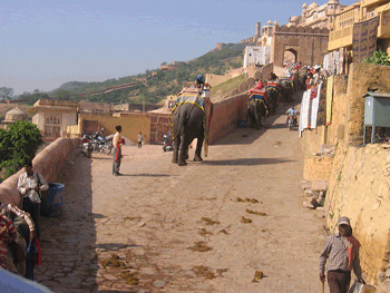 Cuesta en el Fuerte Amber Jaipur