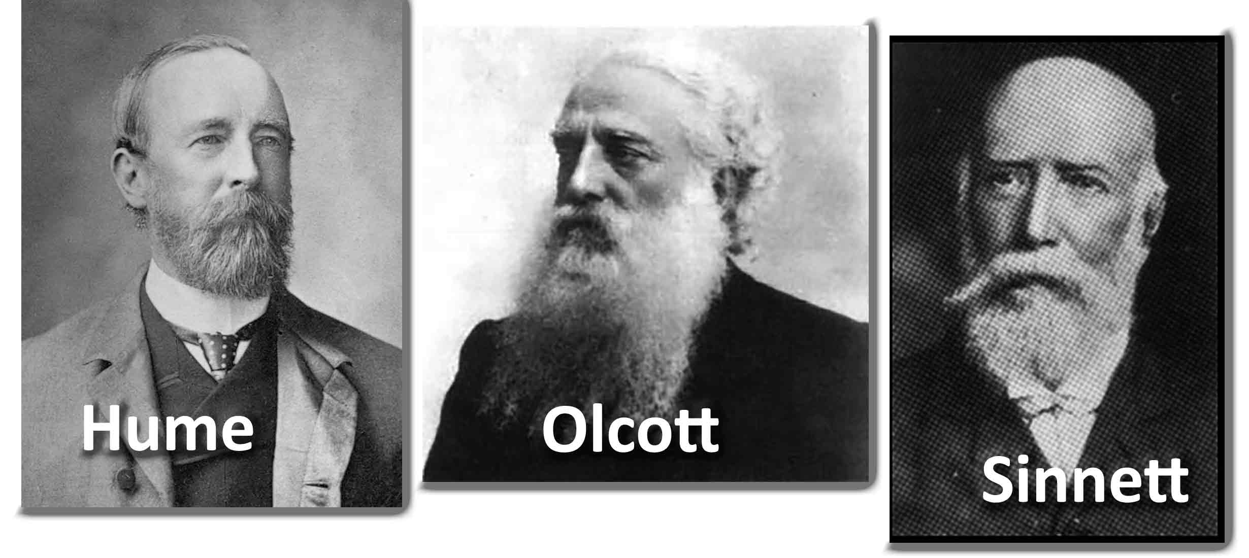Hume, Olcott y Sinnett